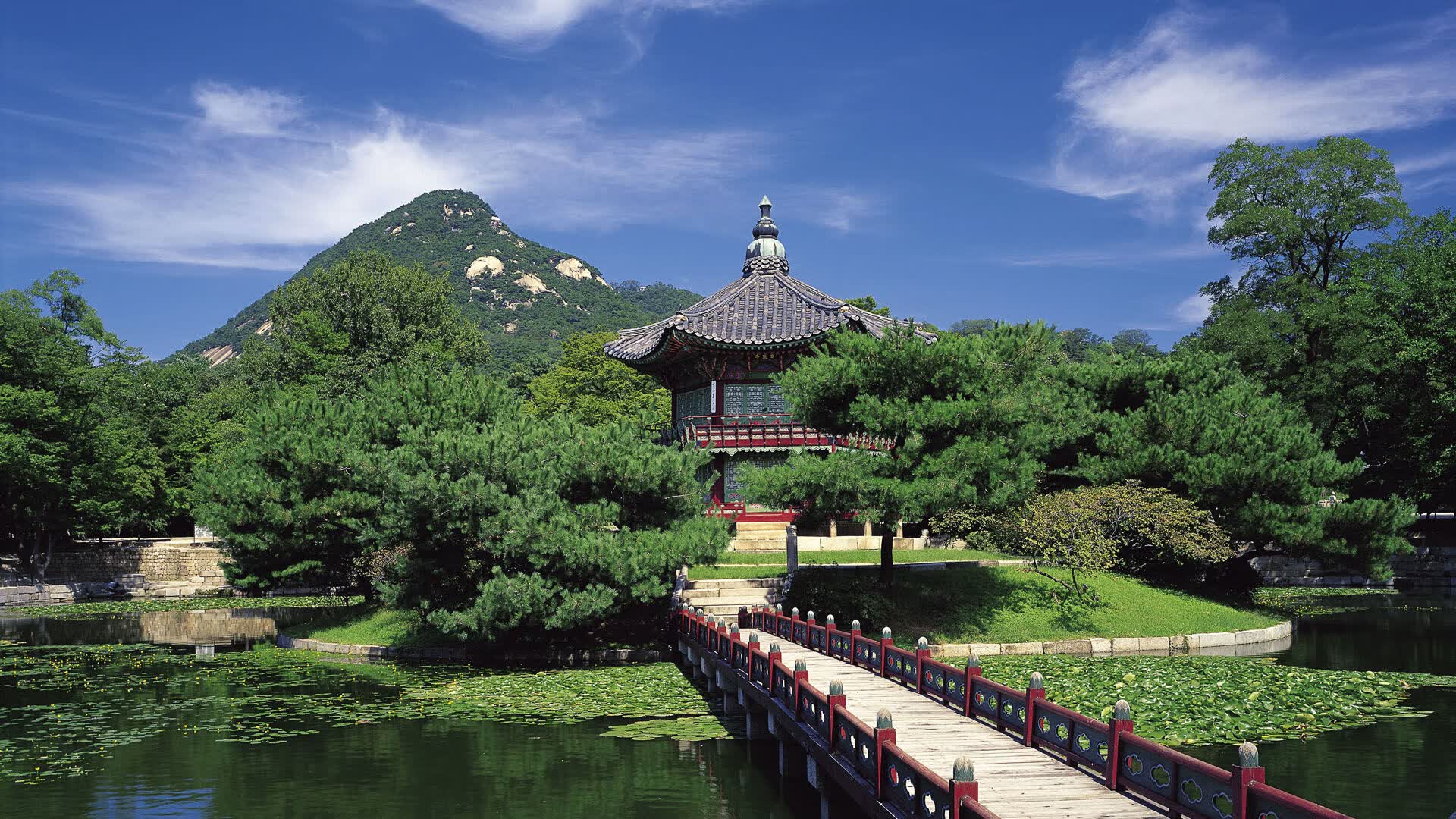 世界攀岩场馆会员权益优化方案与实施时间表,国际攀岩比赛场地要求